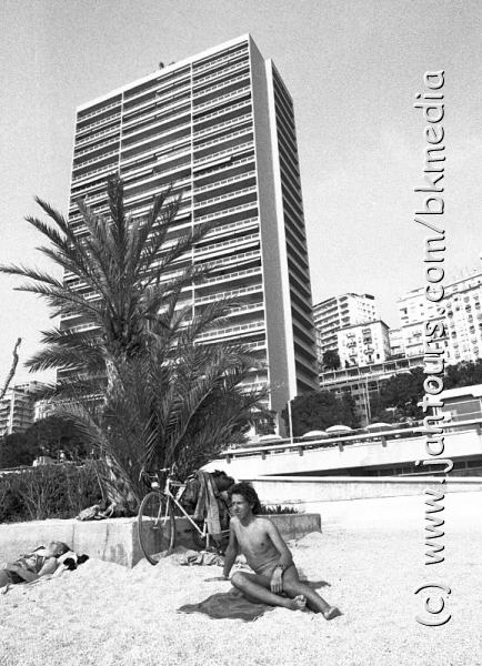 Pause in Monte Carlo