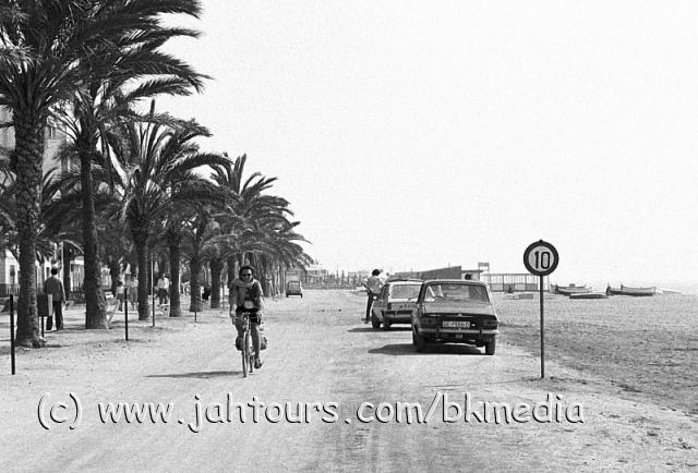 einmal unter Palmen radeln