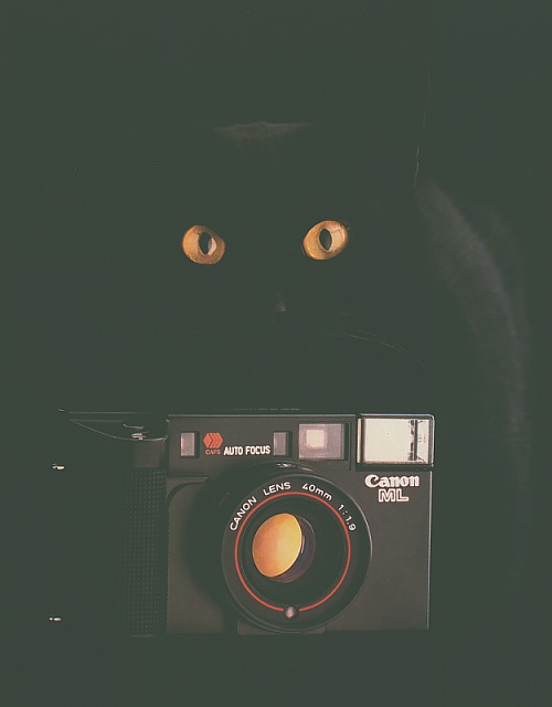 mystic eyes - fascinating technology